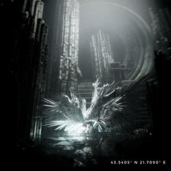 Transfiguration