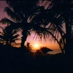 LIFE IS NEVER WHAT IT SEEMS