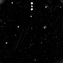 Unnamed (Demo)