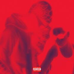 ANITTA (feat. BADGUY) (Remix)