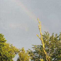 Starcloud
