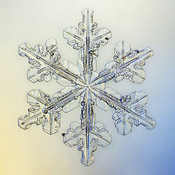 Snowflake 1