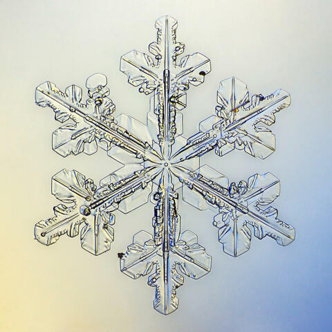 Snowflake 1