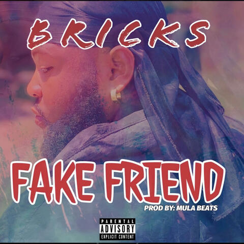 FAKE FRIENDS