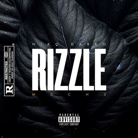 RIZZLE (feat. M0ch0)