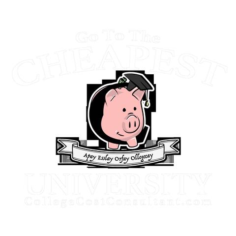 College Cost Consultant Song