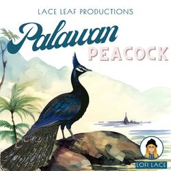 Palawan Peacock