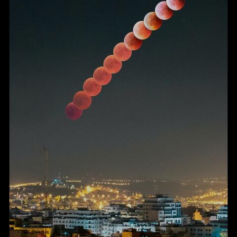 Motion (Special Version)