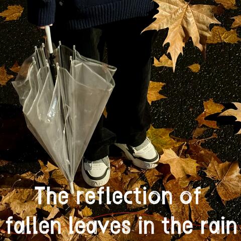 The reflection of fallen leaves in the rain