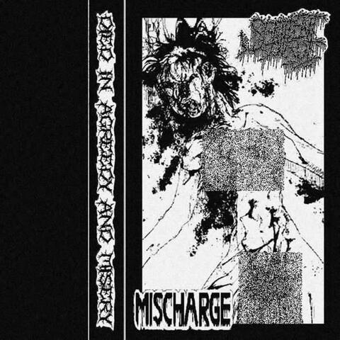 Died in Agreedy and Misery (Split)