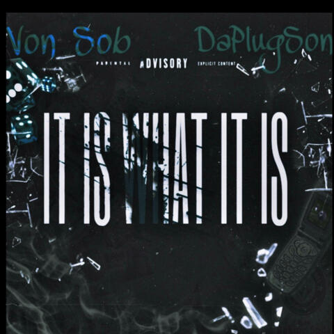 It Is What It Is (feat. Da Plug Son)