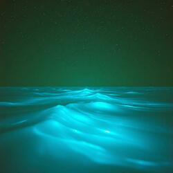 Feel the pulse of the endless sea