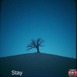 Stay