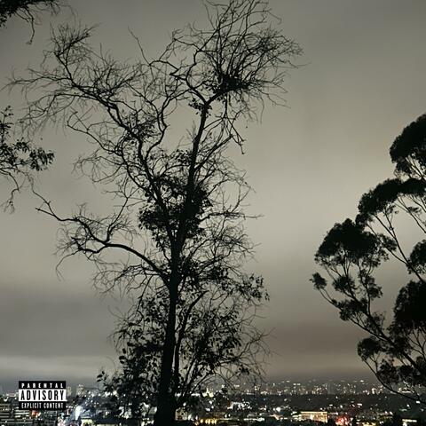 CITY OF THE ANGELS (feat. boy in black)