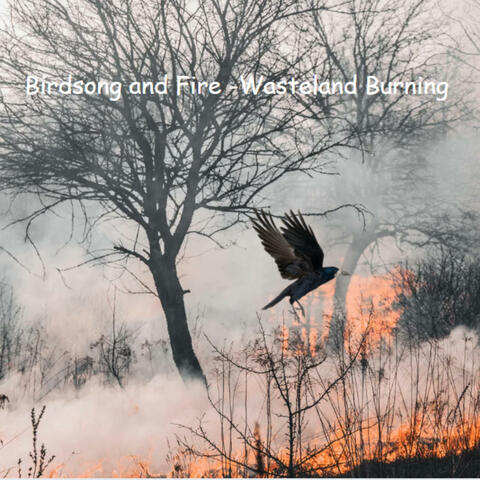 Birdsong and Fire (Wasteland Burning)
