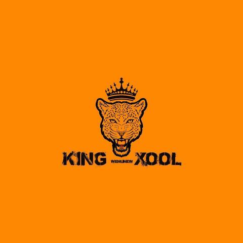 King Vemu New Xool (feat. Spirit Fingerz)
