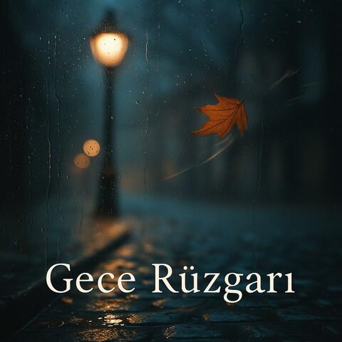 Gece Rüzgarı
