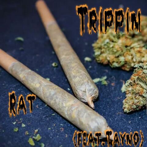 TRIPPIN (feat. Tayno)