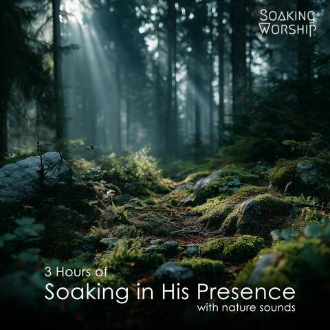 3 Hours of Soaking in His Presence (Nature Sounds)