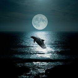 Calm in Blues (Original Motion Picture Soundtrack)