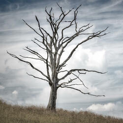 Mournful Classical Piano (Original Motion Picture Soundtrack)