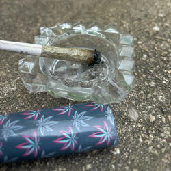 Roll it Up My Brotha