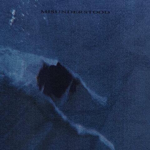Misunderstood