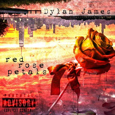 Red Rose Petals