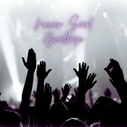 Never Said Goodbye