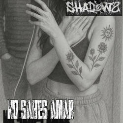 No Sabes Amar