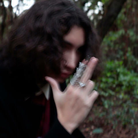 DESPAIR'S DELUSIONS (Instrumentals)
