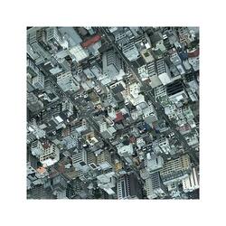 we're all looking for a place to park (feat. The Pig Man & Dan Raccuia)