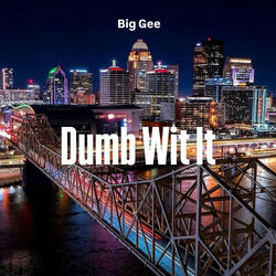 Dumb Wit It