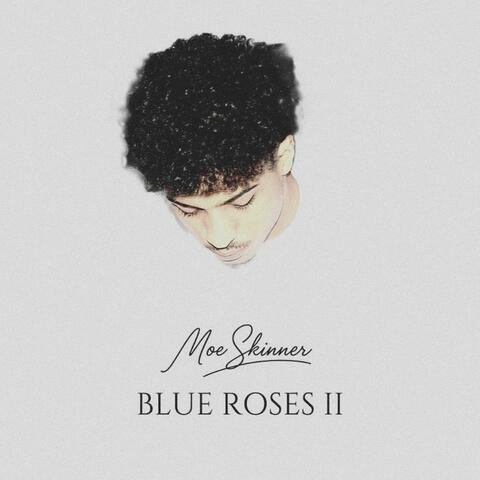 BLUE ROSES II