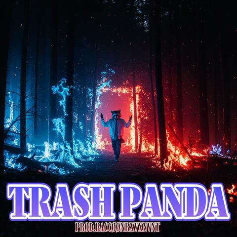 TRASH PANDA