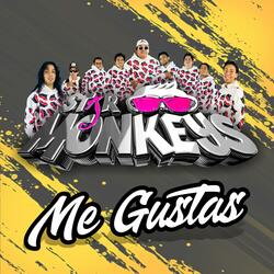 Me gustas