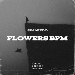 Sin Miedo