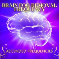 Brain Fog Removal Frequency (533Hz 822Hz 2447Hz)