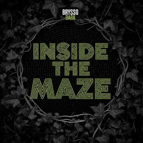 Inside the Maze