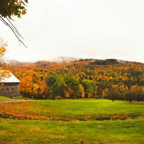 vermont