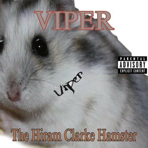 The Hiram Clarke Hamster