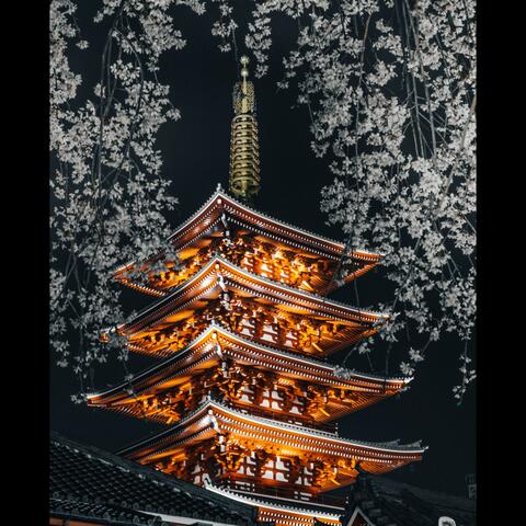 Trip to Japan 3
