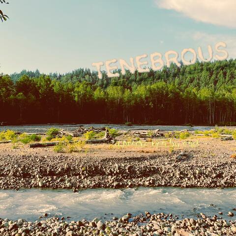 Tenebrous