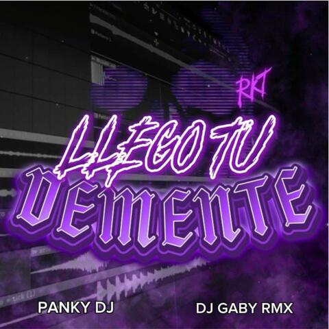 LLEGO TU DEMENTE RKT (feat. DJ GABY RMX)