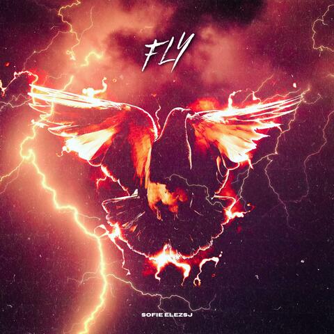 Fly