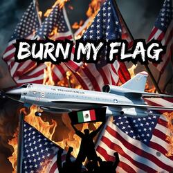 Burn My Flag