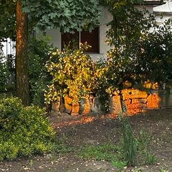 Nothing Was Better Than This