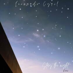 Stay The Night (Remix)