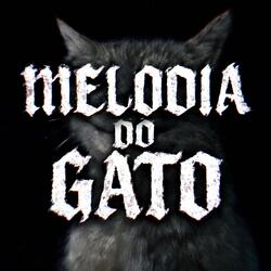 MELODIA DO GATO - Super Slowed