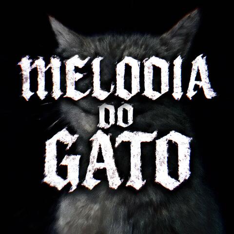 MELODIA DO GATO